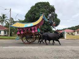• merupakan karya seni rupa yang diambil pada motif flora,fauna,geometri, awan larat dan figuratif. Kereta Lembu Ikon Pelancongan Melaka Warisan Atau Eksploitasi Haiwan Rileklah Com
