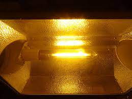 Maybe you would like to learn more about one of these? File Hps High Pressure Sodium Grow Light Bulb Jpg Wikipedia
