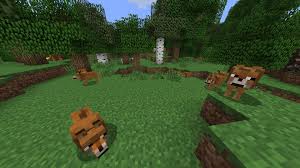 Www Minecraftforum Net Forums Mapping And Modding Minecraft Mods There Is A Doge Mod Minecraft Mods Minecraft Doge