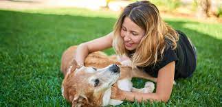 From the very beginning, at tribute funeral services, we we also have access to many public and private chapels, churches and other locations. Pet Cremation Melbourne Adelaide Edenhills Pet Cremations
