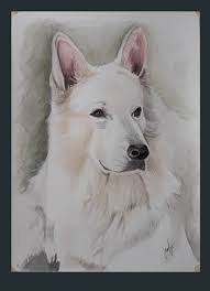 La Critique Est Aisée Et L Art Est Difficile Chien Berger Suisse Dessin Chien Art Chien Berger Suisse