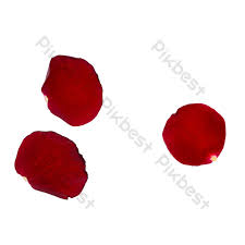 Maybe you would like to learn more about one of these? Kelopak Bunga Mawar Elemen Grafis Templat Raw Unduhan Gratis Pikbest