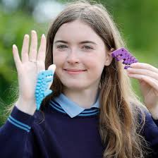 Two Wexford school groups shine at Youth Entrepreneur finals