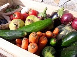 Les Paniers De Lilou Livraison De Fruits Et Legumes Biologiques Frais En 2020 Fruits Et Legumes Bio Fruits Et Legumes Creme De Courgette