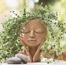 Cheap Amazon Outdoor Decor