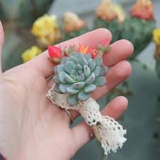 13 head artificial rose bouquet silk fake flowers leaf wedding party home decor. Cuttings Wedding Rosette Succulents Wedding Succulent Favors For Sale Bulk Succulents