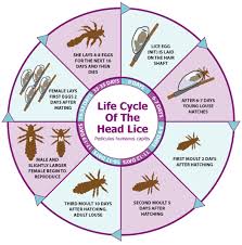 Pin On Useful Reference