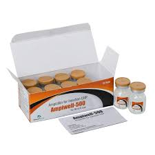 Image result for Ampicillin