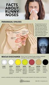 what your snot says about you infographic live science