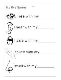 Senses Worksheet For Preschoolers Buscar Con Google Engelskundervisning Undervisning Engelsk Undervisning