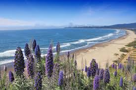 To provide refuge from the daily routines and troubles of life. 11 Best Beaches In California From Surfer Friendly To Cliffside Views Conde Nast Traveler