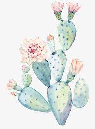 *preview images are reduced quality for sample purposes. Hand Painted Watercolor Cactus Hand Watercolor Png Image Cactus Art Print Watercolor Cactus Cactus Art