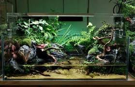 Paludarium Paludarium Vivarium Terrarium