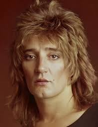 My fave Rod Stewart.... even had my hair cut like his.... Who was your  favourite artist/group??