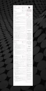 It is the standard representation of credentials within. Cv Template Guide For 2021 Cv Template Cv Format Cv Examples