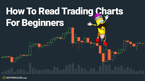 How To Read Trading Charts For Beginners The Cryptostache