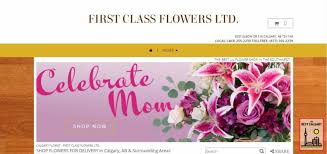We did not find results for: 7 Best Flower Delivery Services In Calgary 2021