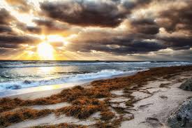 Orange Coast By Cemhan Biricik 500px Sunset Nature Orange Coast Landscape Scenery