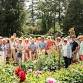 Dahlia Days 2026