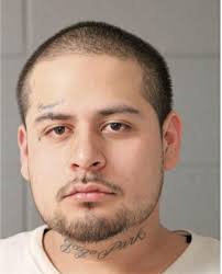 ᐅ Illinois Criminal Records 2009-2025