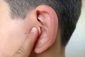 Dogs who are prone to ear infections often benefit from more frequent ear cleanings. How To Take Care Of Your Ears