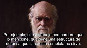 Insuficiencia del evolucionismo cristiano. Juan C. Monedero