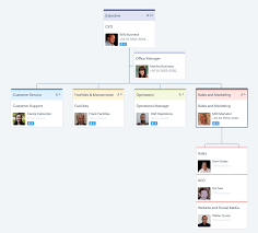 organizational software company online charts collection