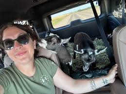 Chillin with my vilian Mr. Tote 🐐😈 My favorite man 🤩