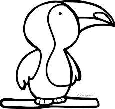 Toucan has a characteristic colorful, large beak. Cute Baby Toucan Coloring Page Coloringall