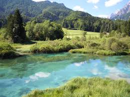Zelenci Slowenien