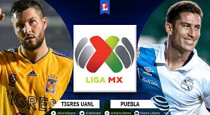 Check how to watch puebla vs tigres live stream. Tigres Vs Puebla En Vivo Tudn Horarios Y Canales De La Transmision Por Liga Mx