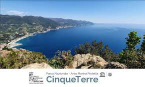 We did not find results for: Il Parco Nazionale E Area Marina Protetta Delle Cinque Terre Nell Anno Della Pandemia Greenreport Economia Ecologica E Sviluppo Sostenibile