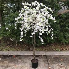 Save 80% buy grower direct. Cherry Blossom Tree Artificial Trees And Flowers Wholesale Melbourne Ribbons Vases Florist Supplies Sydney Melbourne Brisbane Nicholsonimports Com Au