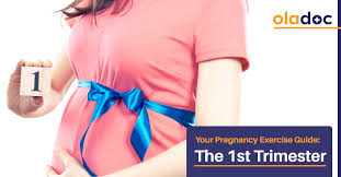 Your Pregnancy Exercise Guide The 1st Trimester Pregnancy