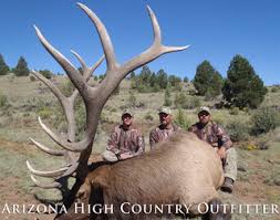 Bulls are bugling and the opportunity for a trophy bull of a lifetime is not uncommon. Elk Hunting Guides And Outfitters