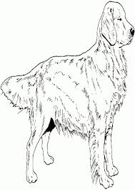 Retrievers, lifesaving dogs, sporting dogs. Golden Retriever Coloring Page Golden Retriever Puppy Coloring Pages Printable Best Coloring Albanysinsanity Com Dog Coloring Page Puppy Coloring Pages Dogs Golden Retriever