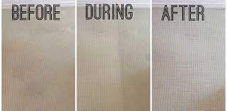 For the best professional carpet cleaning and pest control services for north brisbane call aussie budget carpet cleaning north brisbane phone 54958295. Carpet Cleaning And Pest Control Brisbane Northside All Corners Carpet Cleaning Pest Control