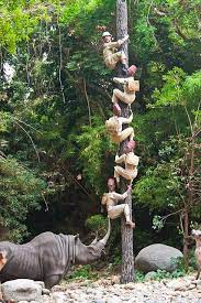 Jungle Cruise Disneyland Disney World Attractions Disneyland California Adventure Disneyland