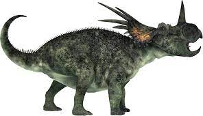 The most famous ceratopsian is triceratops, with its three horns. Styracosaurus Dinosaur Wiki Fandom