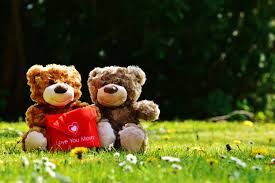 Teddy Junior in the park with his friend