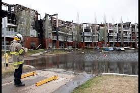 The rare sighting was caught on camera by stuart loomis. Jx2le4rcg5ycxm