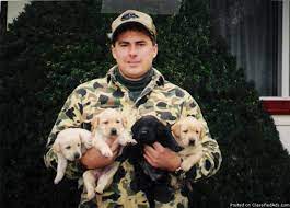 › chocolate labs for sale in wisconsin. Akc Labrador Retrievors Price 500 600 For Sale In Waupaca Wisconsin Best Pets Online