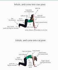 Pin On Lose Weight