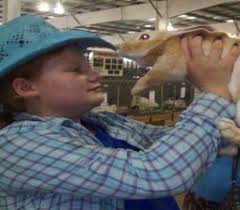 Palomino Newsletter Spring Edition