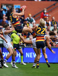There are plenty of walkers on th. Afl 2021 Live Updates Geelong Cats V North Melbourne Kangaroos Hawthorn Hawks V Melbourne Demons Adelaide Crows V Fremantle Dockers Round Five Results New Fixtures Odds Tipping Teams Draw Tex Walker Patrick