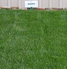 See what employees say it's like to work at sod shop. About Our Sod Sod Shop