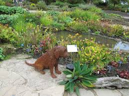 The General' (37) by Margaret Samuel