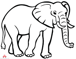 You should draw the leaf shape ears. Simple Elephant Drawing Trunk Up