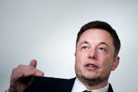 Elon musk uses twitter to make promises, update his shareholders, but most importantly to make us laugh. Who S The Cryptocurrency Anime Girl That Got Elon Musk Locked Out Of His Twitter Account South China Morning Post