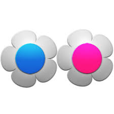 Flickr icons ✓ download 248 flickr icons free ✓ icons of all and for all, find the icon you need, save it to your favorites and download it free ! Flickr Icons Download 129 Free Flickr Icons Here